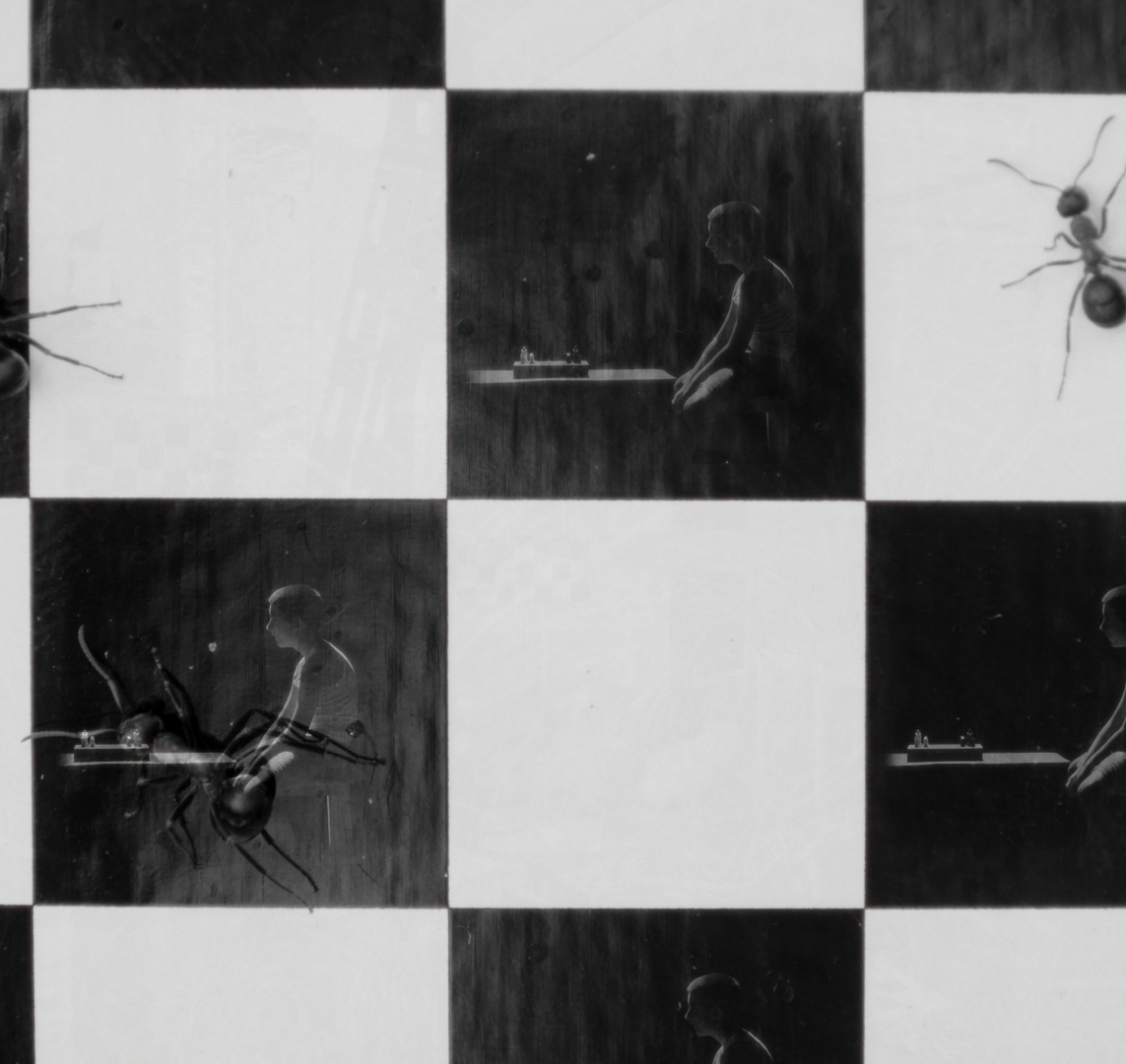 Modeste le petit pion